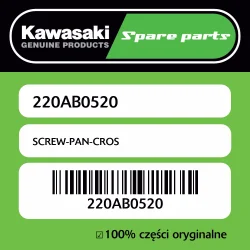 Popularny SCREW-PAN-CROS