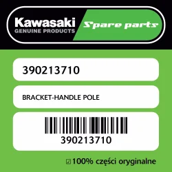 BRACKET-HANDLE POLE Ostatnia szansa