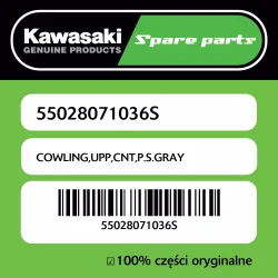 Ekspresowa dostawa Owiewka górna centralna P.S.GRAY Kawasaki